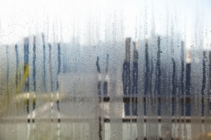 しつこい痒み!ダニに刺された時の対処法 熊本 佐賀のシロアリ駆除